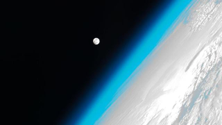 Illustration for article titled Best of the Week: February 2-8, 2013